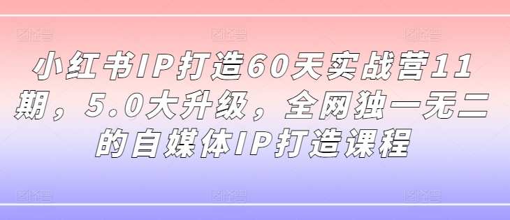 小红书IP打造60天实战营11期，5.0大升级，全网独一无二的自媒体IP打造课程-菜菜网创