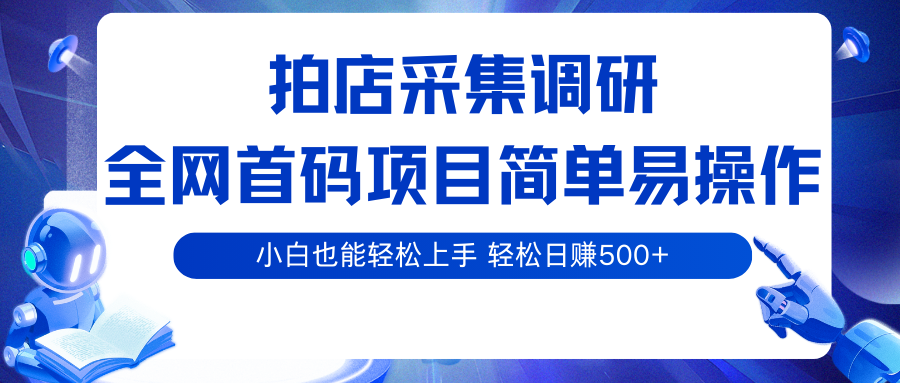 拍店采集调研，全网首码项目，简单易操作， 小白也能轻松上手，轻松日赚500+-菜菜网创