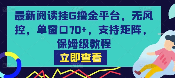 最新阅读挂G撸金平台，无风控，单窗口70+，支持矩阵，保姆级教程【揭秘】-菜菜网创