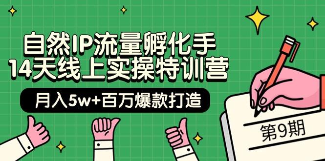 (9881期)自然IP流量孵化手 14天线上实操特训营【第9期】月入5w+百万爆款打造 (74节)-菜菜网创