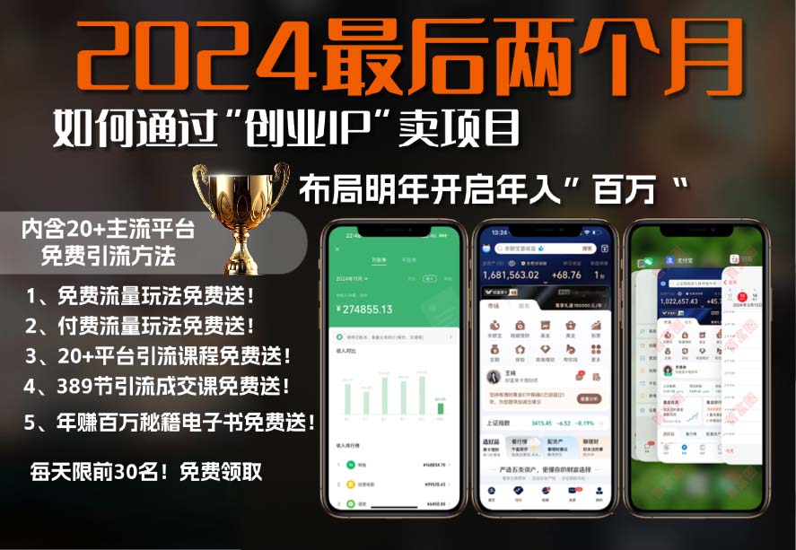 2024最后两个月如何通过”创业IP“卖项目年入”百万“,创业IP+最强引流…-菜菜网创