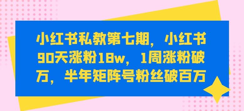 小红书私教第七期，小红书90天涨粉18w，1周涨粉破万，半年矩阵号粉丝破百万-菜菜网创