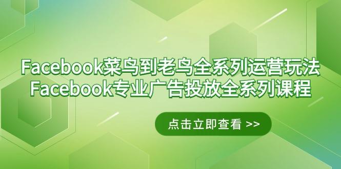 Facebook-菜鸟到老鸟全系列运营玩法+Facebook-专业广告投放全系列课程-菜菜网创