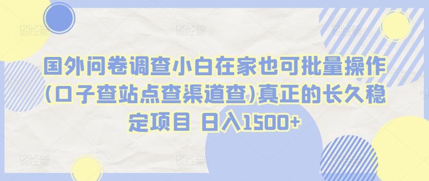 国外问卷调查小白在家也可批量操作(口子查站点查渠道查)真正的长久稳定项目 日入1500+【揭秘】-菜菜网创