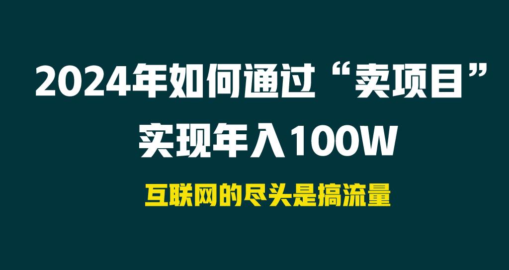 2024年如何通过“卖项目”实现年入100W-菜菜网创