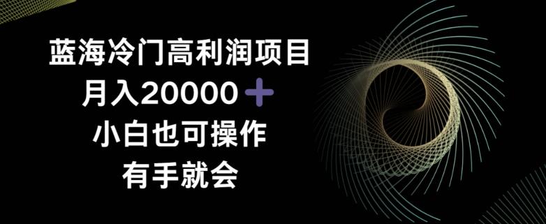 蓝海冷门高利润项目月入2000，小白也可操作有手就会-菜菜网创