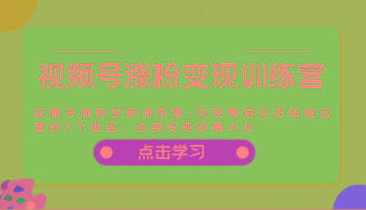 视频号涨粉变现训练营-实现微信生态私域运营的3个维度，达到变现的最大化-菜菜网创