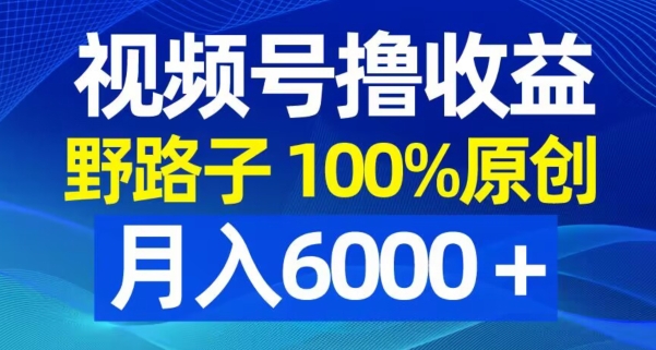 视频号野路子撸收益，100%原创，条条爆款，月入6000＋【揭秘】-菜菜网创