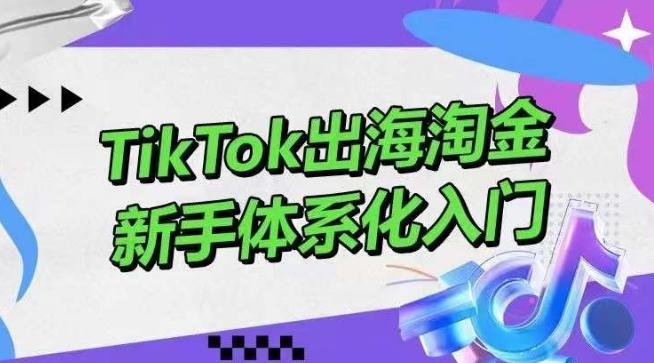 TikTok出海淘金，新手体系化入门，零基础快速入门，掌握短视频、直播带货等引流到变现的知识-菜菜网创