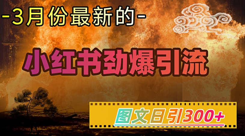 小红书超劲爆引流手段，图文日引300+轻松变现1W-菜菜网创