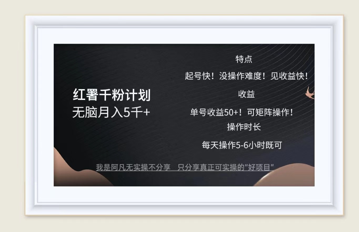 红薯千粉计划无脑月入5千+！既做既赚！-菜菜网创