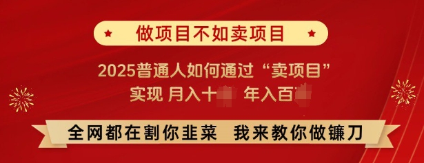 必看，做项目不如卖项目，2025普通人如何通过“卖项目”实现月入十个，年入百个-菜菜网创