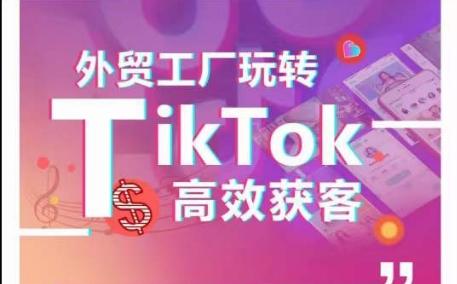外贸工厂玩转TikTok高效获客，多种引流方式与账号定位技巧，拆解爆款短视频打造成功案例-菜菜网创
