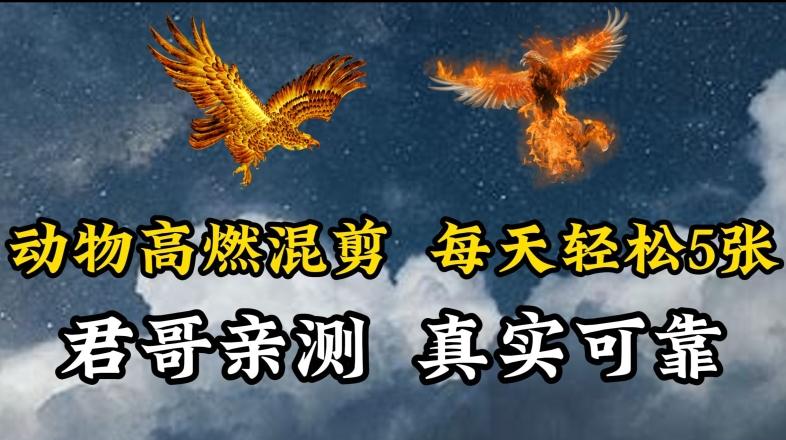 动物超燃混剪，每天轻松5张，剪辑简单大家爱看【揭秘】-菜菜网创