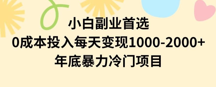 小白副业首选，0成本投入，每天变现1000-2000年底暴力冷门项目【揭秘】-菜菜网创