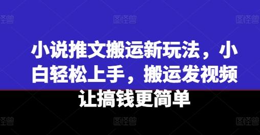 小说推文搬运新玩法，小白轻松上手，搬运发视频让搞钱更简单-菜菜网创