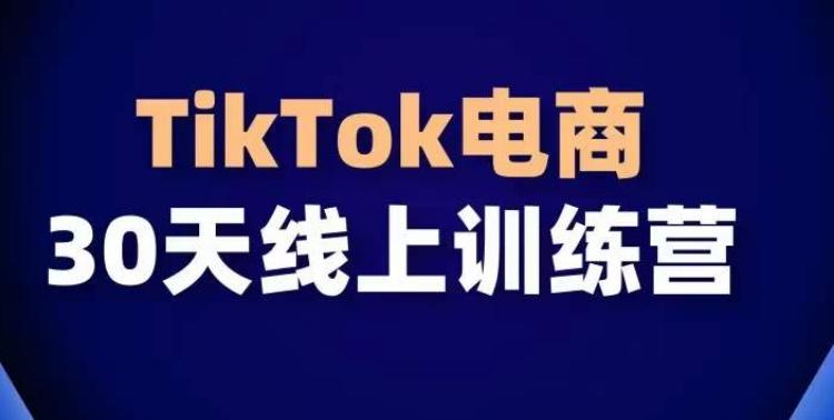 TikTok电商带货30天线上课，不可错过的全球流量洼地！-菜菜网创