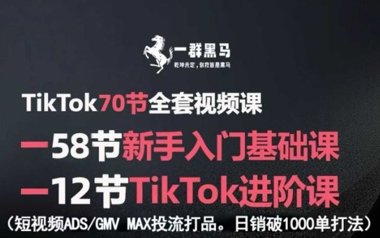TikTok全套视频课，新手入门+进阶课，短视频ADS-GMV MAX投流打品，日销破1000单打法-菜菜网创