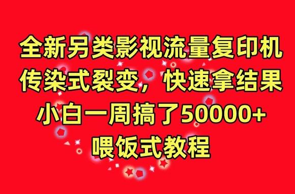 全新另类影视流量复印机，传染式裂变，快速拿结果，小白一周搞了50000+，喂饭式教程【揭秘】-菜菜网创