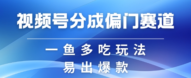 视频号创作者分成计划偏门类目，容易爆流，实拍内容简单易做【揭秘】-菜菜网创