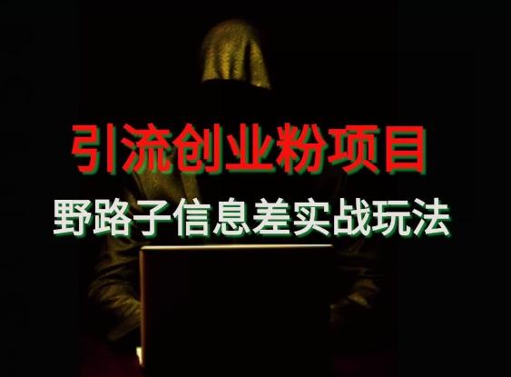 【引流创业粉】野路子信息差玩法实战教学-菜菜网创