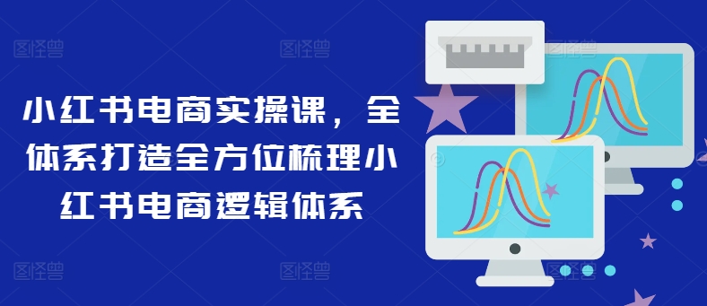 小红书电商实操课，全体系打造全方位梳理小红书电商逻辑体系-菜菜网创