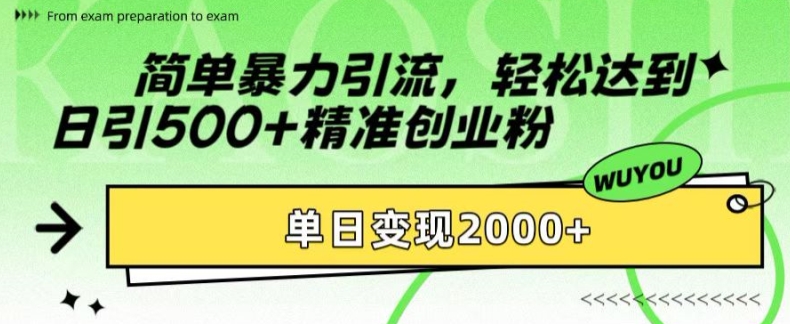 简单暴力引流，轻松达到日引500+精准创业粉，单日变现2k【揭秘】-菜菜网创