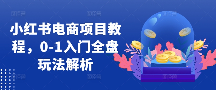 小红书电商项目教程，0-1入门全盘玩法解析-菜菜网创