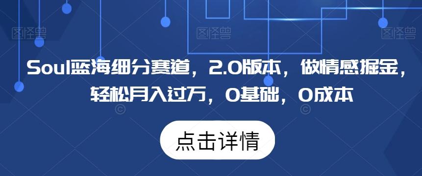 Soul蓝海细分赛道，2.0版本，做情感掘金，轻松月入过万，0基础，0成本-菜菜网创
