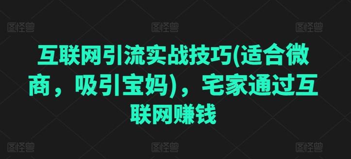 互联网引流实战技巧(适合微商，吸引宝妈)，宅家通过互联网赚钱-菜菜网创