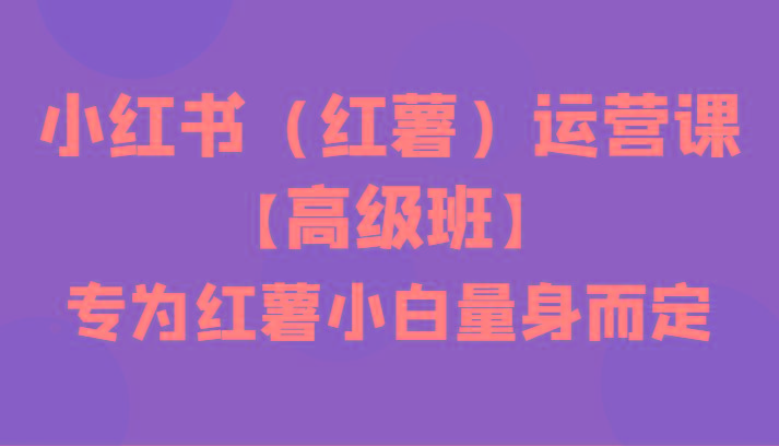 小红书(红薯)运营课【高级班】，专为红薯小白量身而定(42节课)-菜菜网创