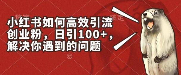 小红书如何高效引流创业粉，日引100+，解决你遇到的问题【揭秘】-菜菜网创