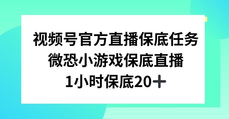 视频号直播任务，微恐小游戏，1小时20+【揭秘】-菜菜网创