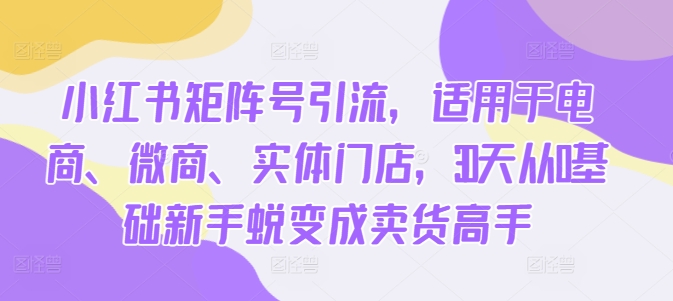 小红书矩阵号引流，适用于电商、微商、实体门店，30天从0基础新手蜕变成卖货高手-菜菜网创