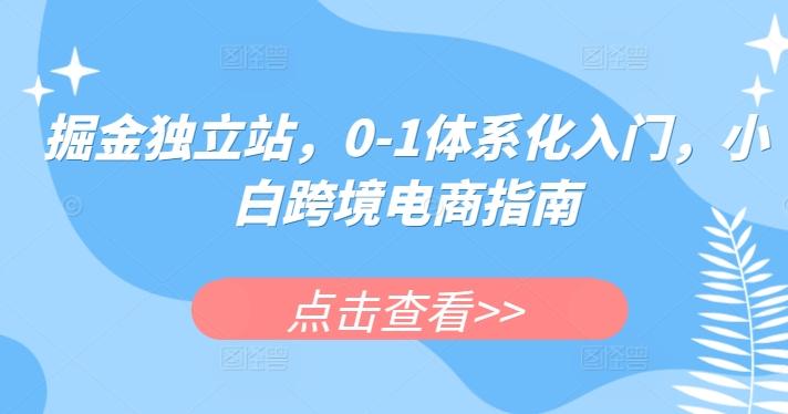 掘金独立站，0-1体系化入门，小白跨境电商指南-菜菜网创