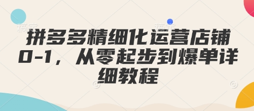 拼多多精细化运营店铺0-1，从零起步到爆单详细教程-菜菜网创
