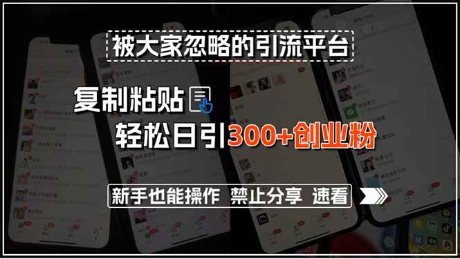 （15428期）被大家忽略的引流平台，复制粘贴轻松日引300+创业粉，新手也能操作，禁…-菜菜网创