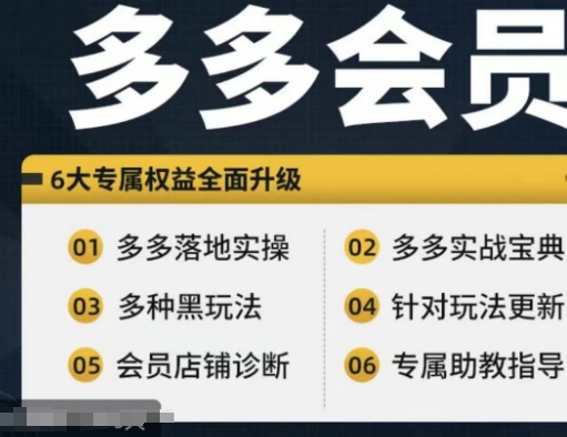拼多多会员，拼多多实战宝典+实战落地实操，从新手到高阶内容全面覆盖-菜菜网创