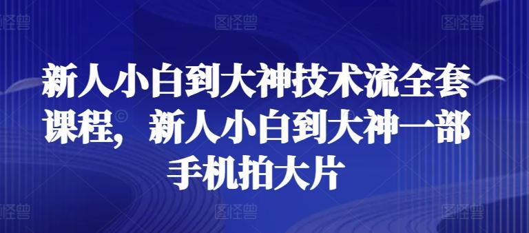 新人小白到大神技术流全套课程，新人小白到大神一部手机拍大片-菜菜网创