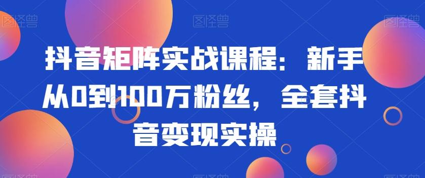抖音矩阵实战课程：新手从0到100万粉丝，全套抖音变现实操-菜菜网创