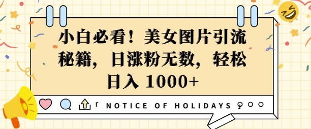 小白必看，美女图片引流秘籍，日涨粉无数，轻松日入几张【揭秘】-菜菜网创