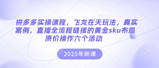 拼多多实操课程，飞龙在天玩法，真实案例，直播全流程链接的黄金sku布局原价操作六个活动-菜菜网创