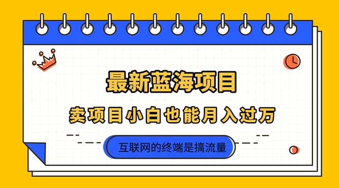 2025年最新蓝海项目，卖项目小白也能月入过万-菜菜网创