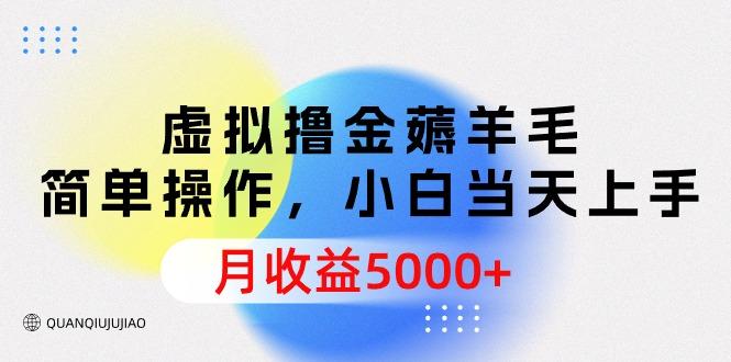 (9864期)虚拟撸金薅羊毛，简单操作，小白当天上手，月收益5000+-菜菜网创