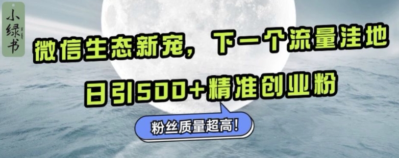 微信生态新宠小绿书：下一个流量洼地，日引500+精准创业粉，粉丝质量超高-菜菜网创