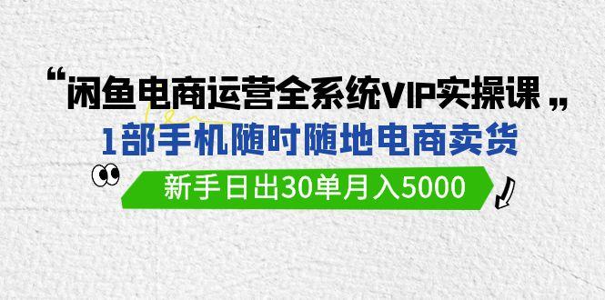 (9547期)闲鱼电商运营全系统VIP实战课，1部手机随时随地卖货，新手日出30单月入5000-菜菜网创