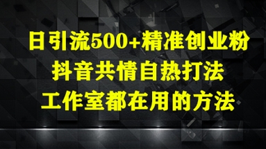 日引流500+精准创业粉，抖音共情自热打法，工作室都在用的方法-菜菜网创