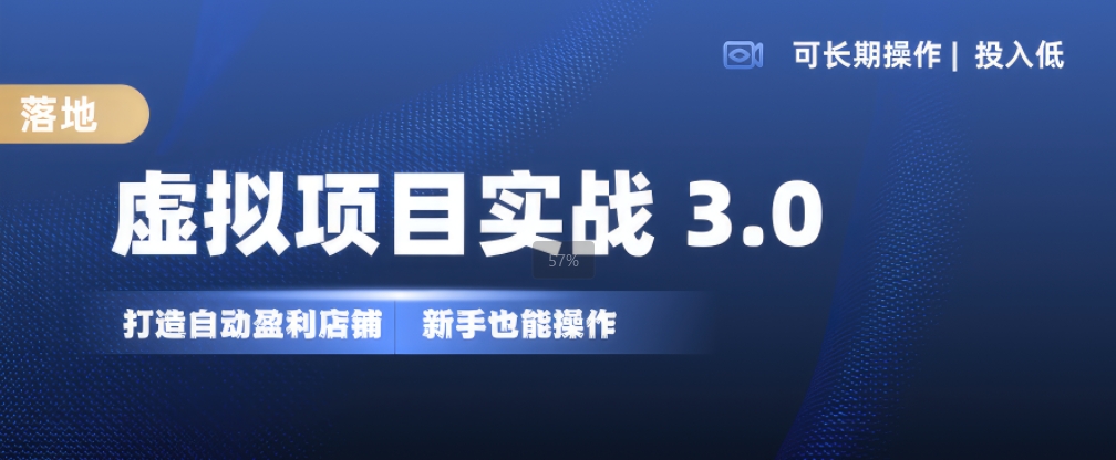 虚拟项目实战3.0，打造自动盈利店铺，可长期操作投入低，新手也能操作-菜菜网创