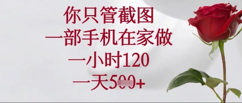 你只管截图，一部手机在家操作，一小时120.一天5张【揭秘】-菜菜网创