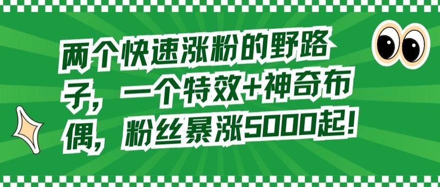 两个快速涨粉的野路子，一个特效+神奇布偶，粉丝暴涨5000起【揭秘】-菜菜网创